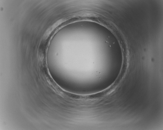 X0000051911065200507082024