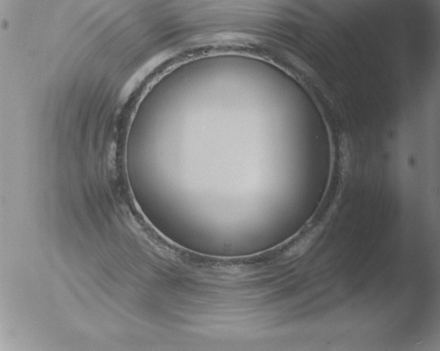 X0000051911066200507082024