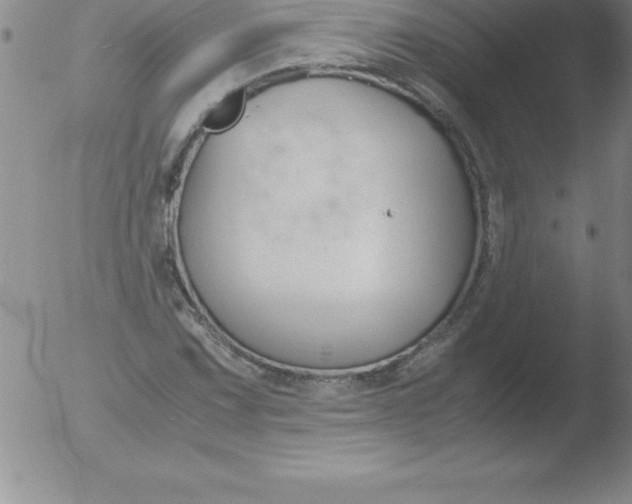 X0000051911067200507082024