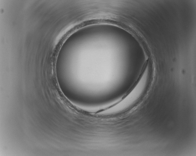 X0000051911069200507082024