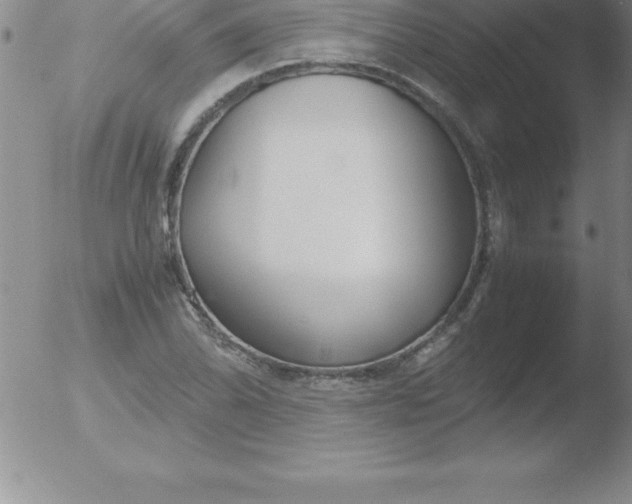 X0000051911070200507082024