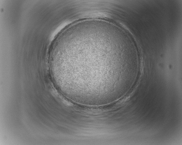 X0000051911071200507082024