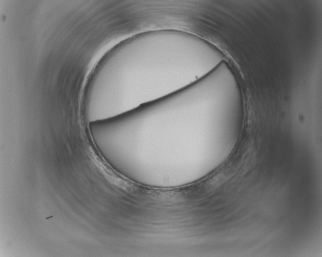 X0000051911072200507082023