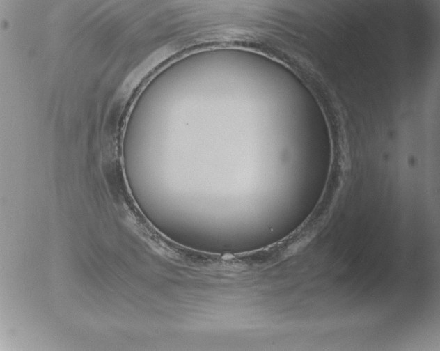 X0000051911073200507082023