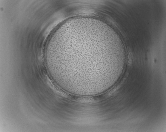 X0000051911074200507082023