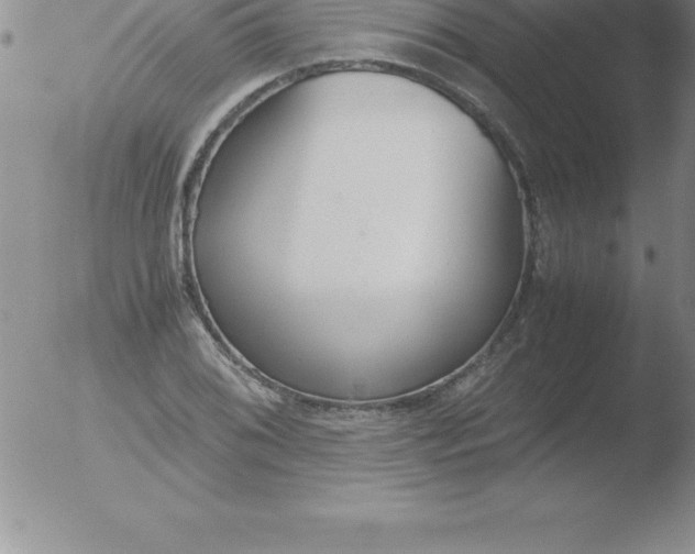 X0000051911076200507082023