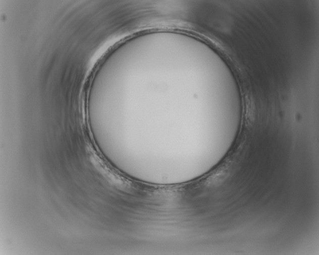 X0000051911078200507082023