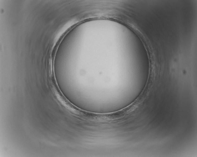 X0000051911079200507082023