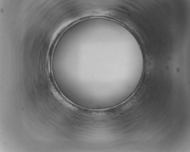 X0000051911080200507082023