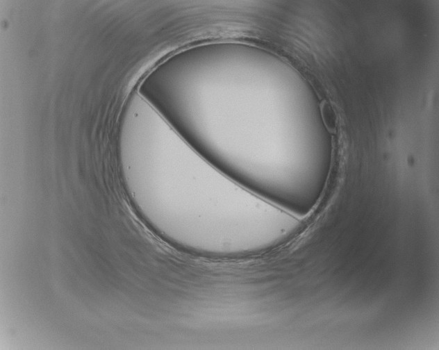 X0000051911081200507082023