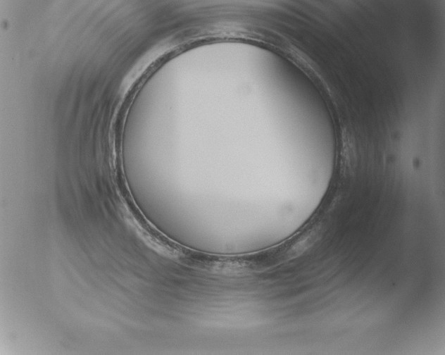 X0000051911082200507082023