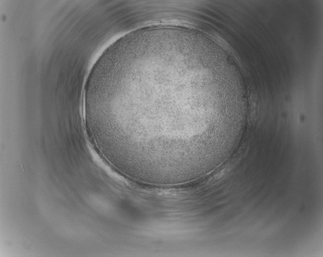 X0000051911084200507082023