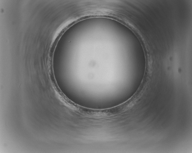 X0000051911085200507082023