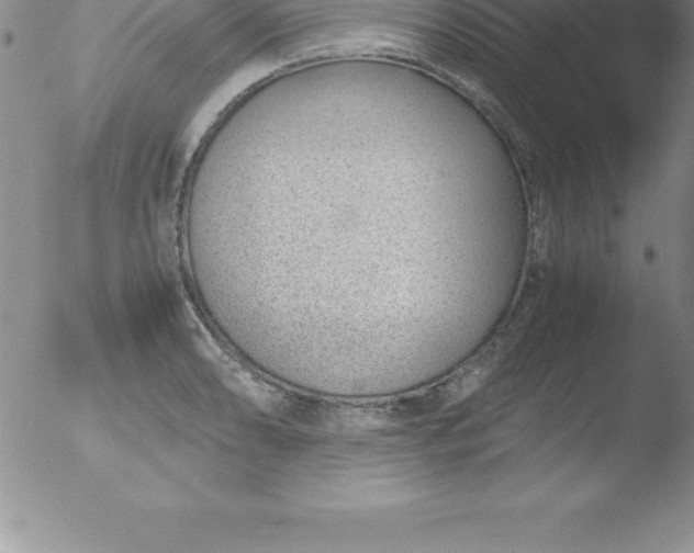 X0000051911086200507082023