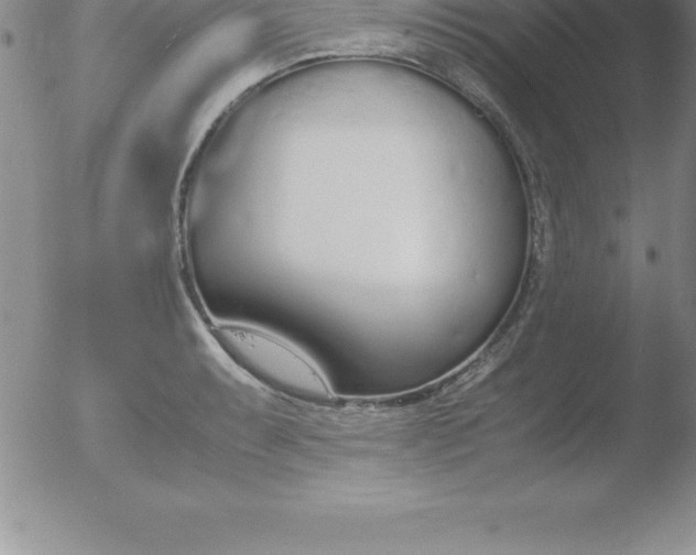 X0000051911087200507082023