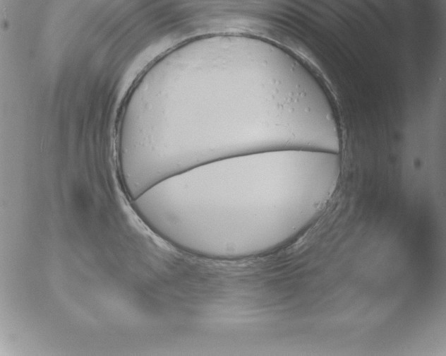 X0000051911088200507082023