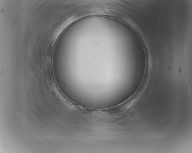 X0000051911089200507082023