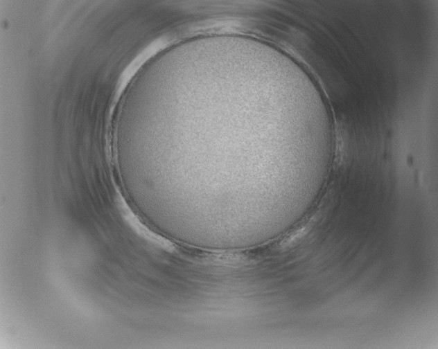 X0000051911090200507082023