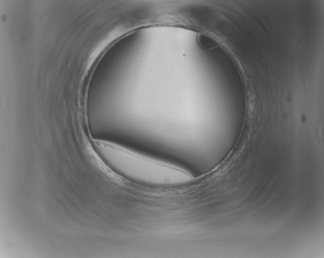 X0000051911091200507082023