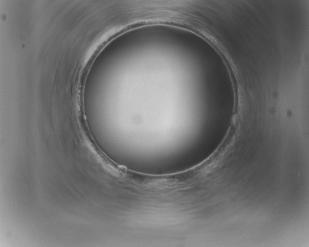 X0000051911093200507082023