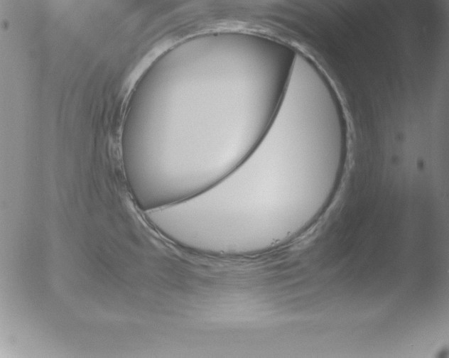 X0000051911097200507082023