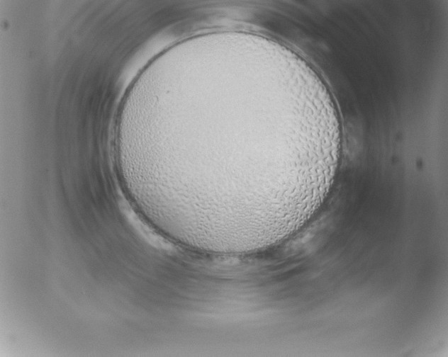 X0000051911098200507082023