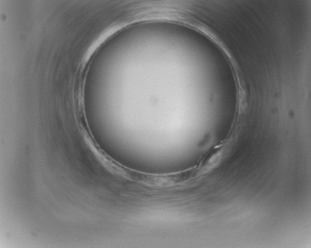 X0000051911101200507082023