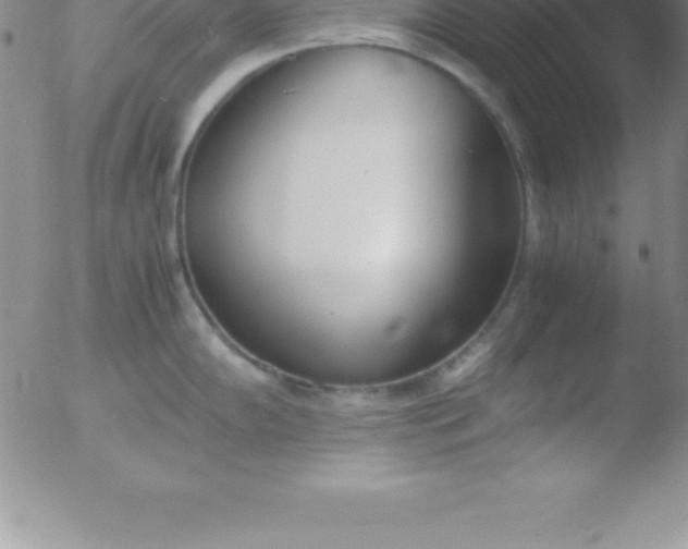 X0000051911102200507082023