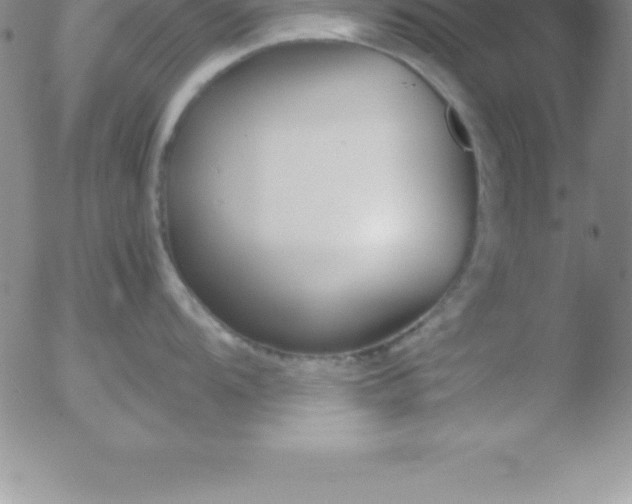 X0000051911104200507082023