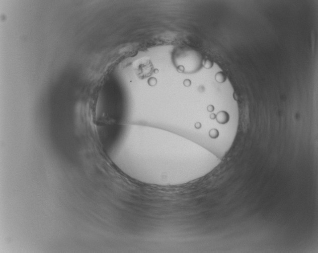 X0000051911105200507082022