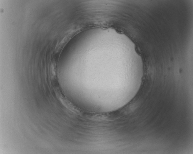 X0000051911106200507082022