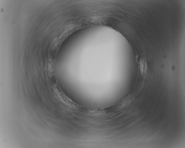 X0000051911107200507082022