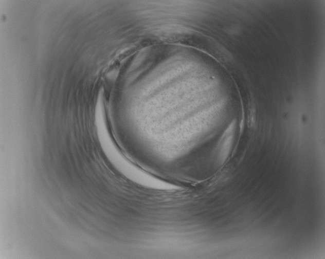 X0000051911108200507082022