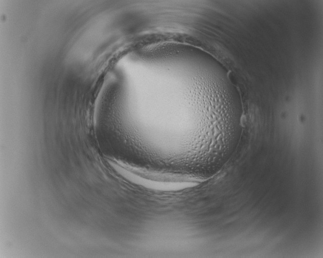 X0000051911110200507082022