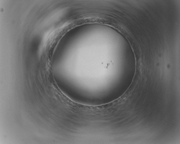 X0000051911111200507082022