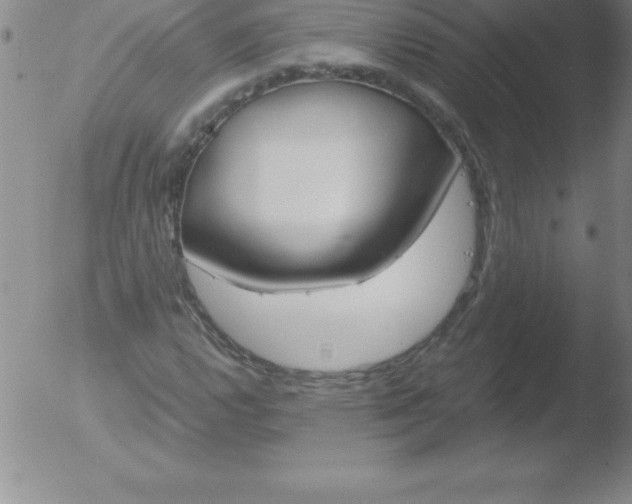 X0000051911112200507082022