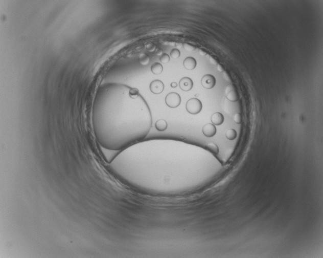 X0000051911113200507082022