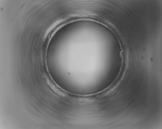 X0000051911114200507082022