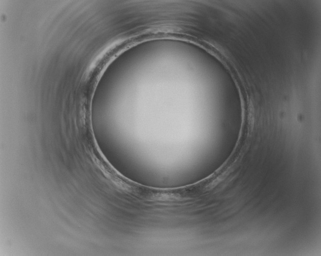 X0000051911115200507082022