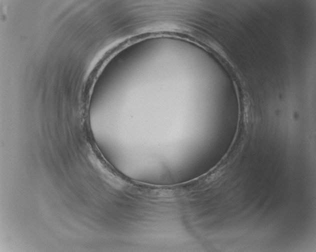 X0000051911116200507082022