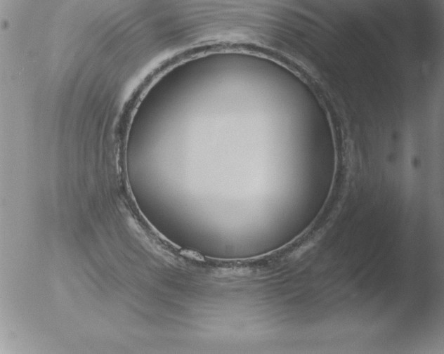 X0000051911118200507082022