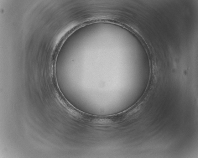 X0000051911119200507082022