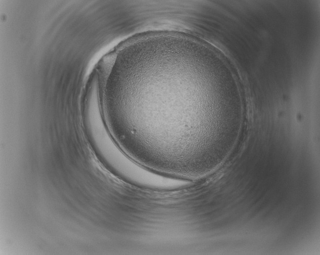 X0000051911120200507082022