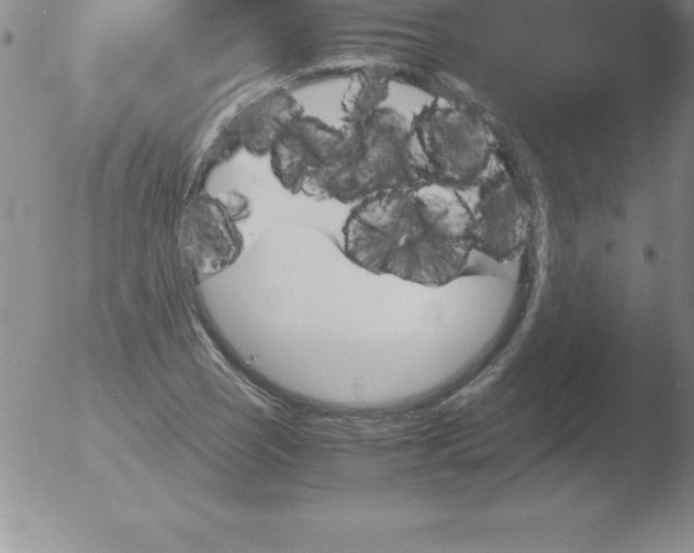 X0000051911121200507082022