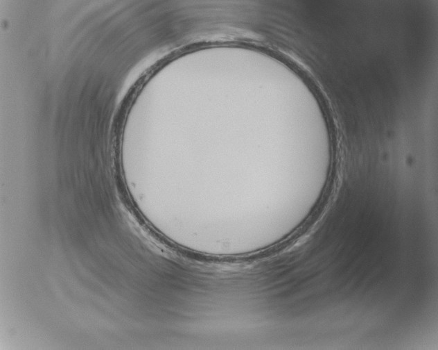 X0000051911122200507082022