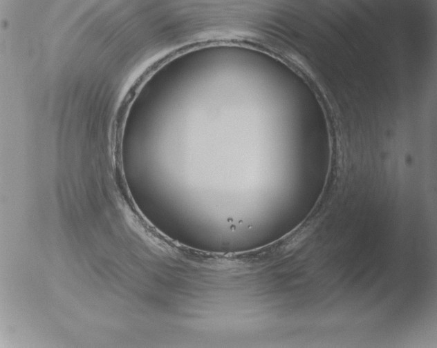 X0000051911124200507082022