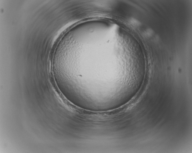 X0000051911125200507082023