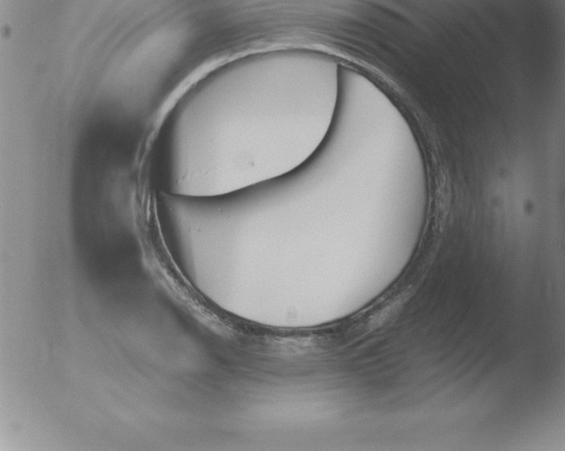 X0000051911126200507082023