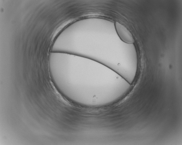 X0000051911129200507082023