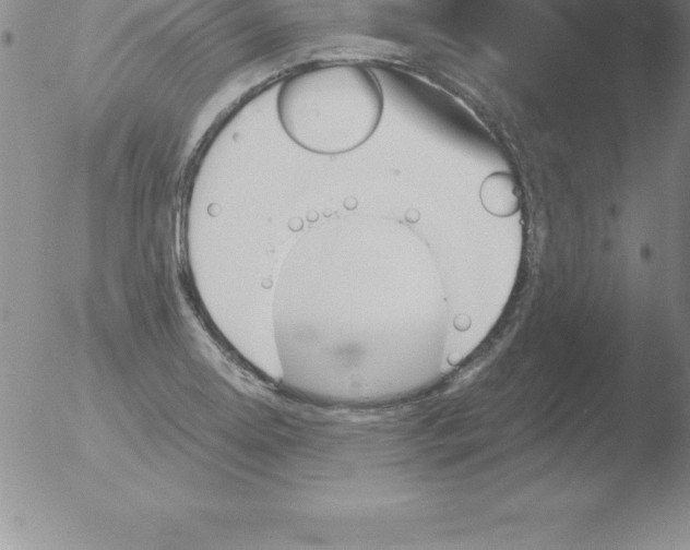 X0000051911130200507082023